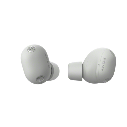 WF-1000XM6 The Best Noise Cancelling* Truly Wireless Earbuds (Platinum Silver), , hi-res