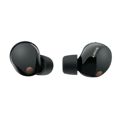 Sony WF-1000XM5 Noise-Canceling Earbuds with Alexa, 24hr Battery, IPX4  Rating - For iOS & Android