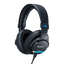 MDR-M1 Closed Back Studio Monitor Headphones