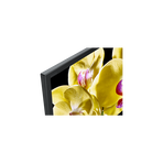 49" X80G LED 4K Ultra HD High Dynamic Range Smart Android TV , , hi-res