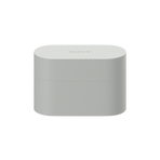 WF-1000XM6 The Best Noise Cancelling* Truly Wireless Earbuds (Platinum Silver), , hi-res