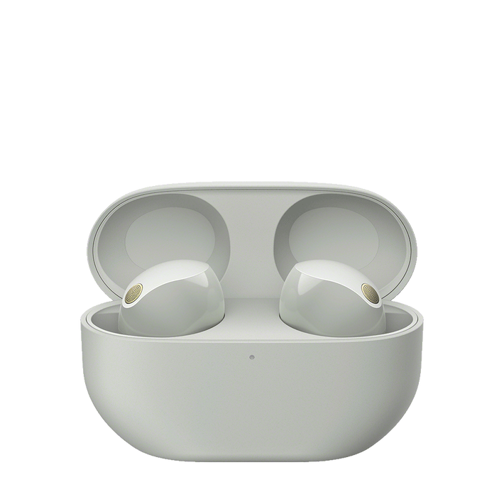 WF-1000XM5 Wireless Noise Cancelling Earbuds (Silver), , product-image