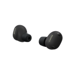 WF-1000XM6 The Best Noise Cancelling* Truly Wireless Earbuds (Black), , hi-res