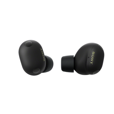 WF-1000XM6 The Best Noise Cancelling* Truly Wireless Earbuds (Black), , hi-res
