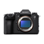 Alpha 1 II