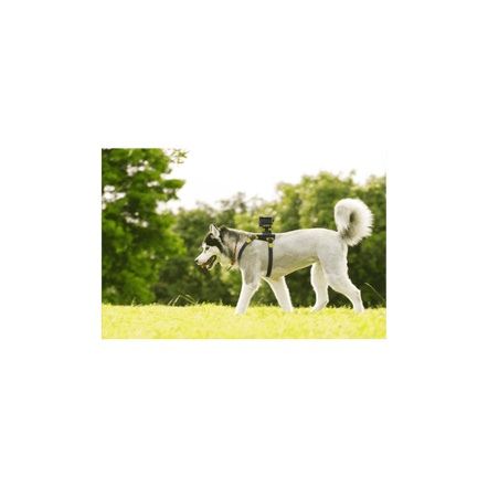 AKA-DM1 Dog Harness For Action Cam, , hi-res