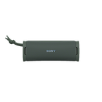ULT FIELD 1 Wireless Portable Speaker (Forest Grey), , hi-res