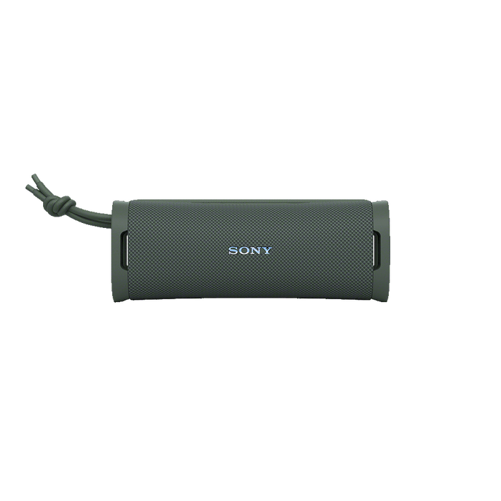 ULT FIELD 1 Wireless Portable Speaker (Forest Grey), , product-image