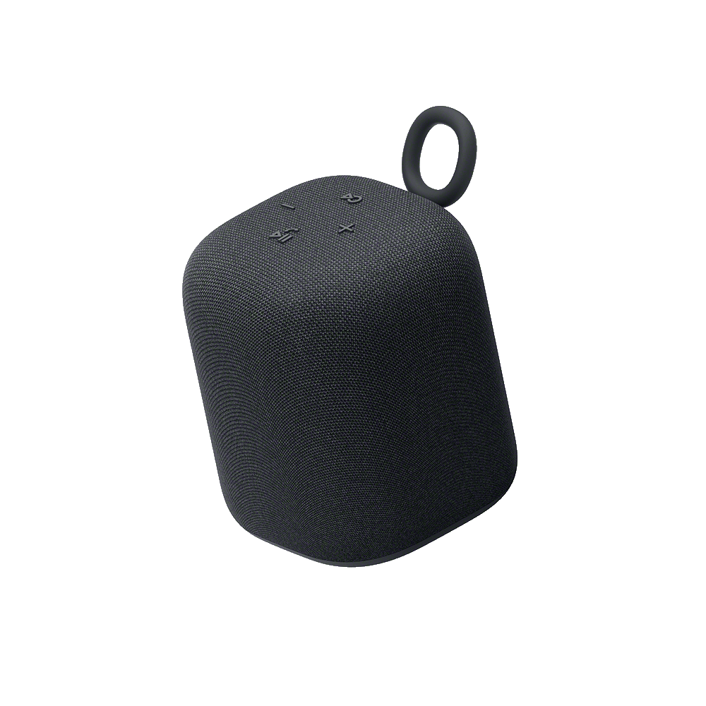 LinkBuds Speaker (Black)