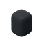 LinkBuds Speaker (Black)