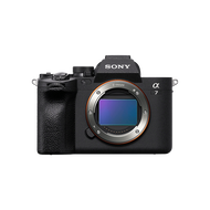 Alpha 7 IV Full-Frame Hybrid Camera (Body Only)