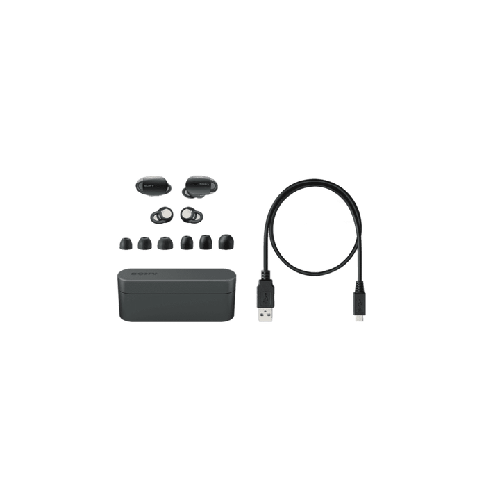 WF-1000X True Wireless Noise Cancelling Headphones (Black),  WF-1000X True Wireless Noise Cancelling Headphones (Black), , product-image