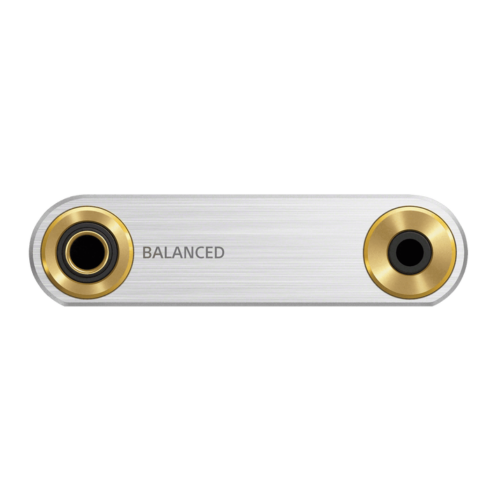 NW-ZX300 Walkman with High-Resolution Audio (Black), , product-image