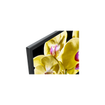 65" X80G LED 4K Ultra HD High Dynamic Range Smart Android TV, , hi-res