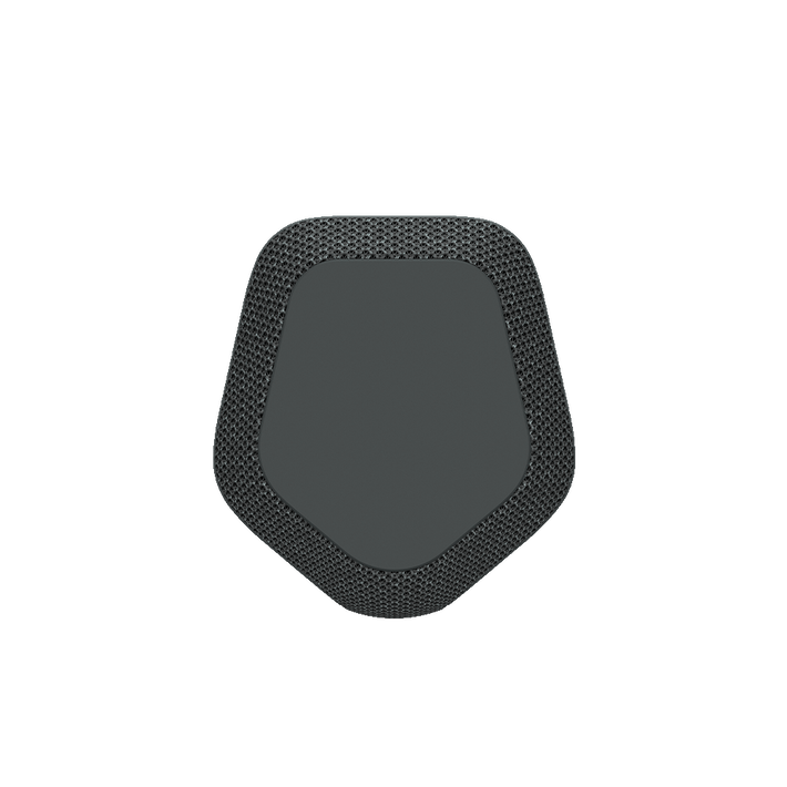 XE300 X-Series Portable Wireless Speaker (Black), , product-image