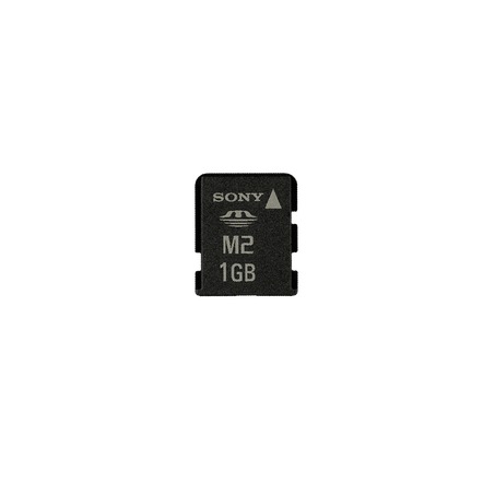 1GB Memory Stick Micro? M2, , hi-res