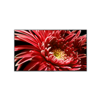 65" X85G LED 4K Ultra HD High Dynamic Range Smart Android TV, , hi-res
