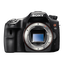 a65 Digital SLT 24.3 Mega Pixel Camera