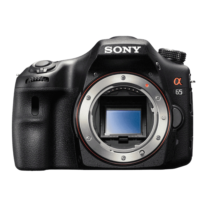 a65 Digital SLT 24.3 Mega Pixel Camera, , product-image