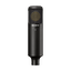 C-80 Uni-directional condenser microphone