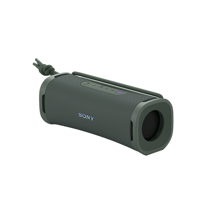 ULT FIELD 1 Wireless Portable Speaker (Forest Grey), , product-image