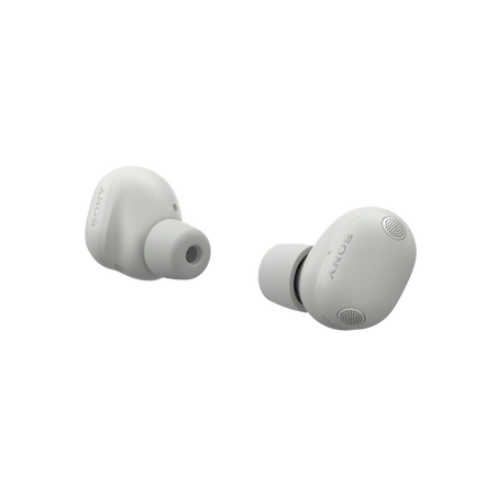 WF-1000XM6 The Best Noise Cancelling* Truly Wireless Earbuds (Platinum Silver), , hi-res