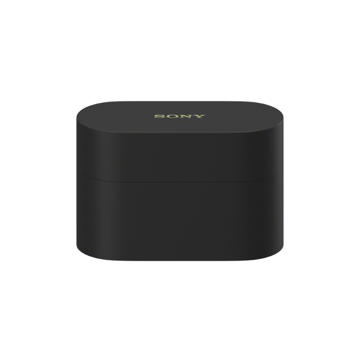 WF-1000XM6 The Best Noise Cancelling* Truly Wireless Earbuds (Black), , product-image