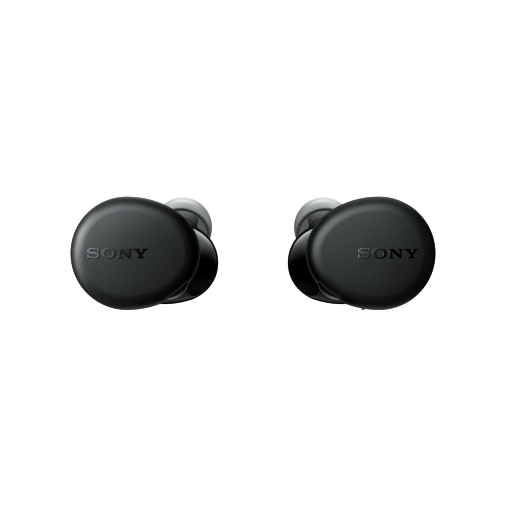 WF-XB700 Truly Wireless Headphones with EXTRA BASS (Black), , product-image