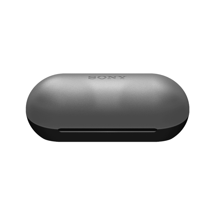 WF-C500 Truly Wireless Headphones (Black), , product-image