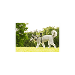 AKA-DM1 Dog Harness For Action Cam, , hi-res