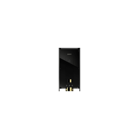 DMP-Z1 Digital Music Player Signature Series, , hi-res