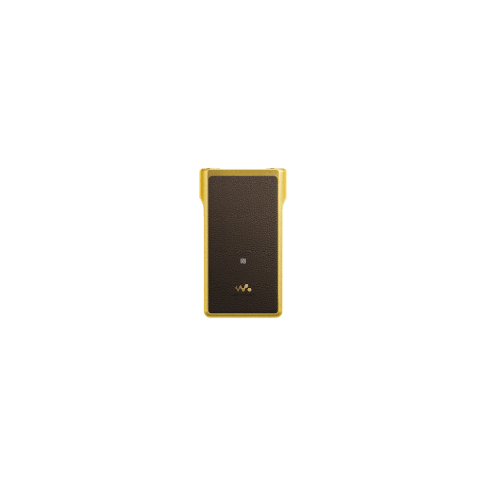 Premium Walkman with High-Resolution Audio, , product-image