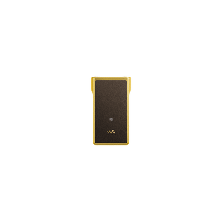 Premium Walkman with High-Resolution Audio, , hi-res