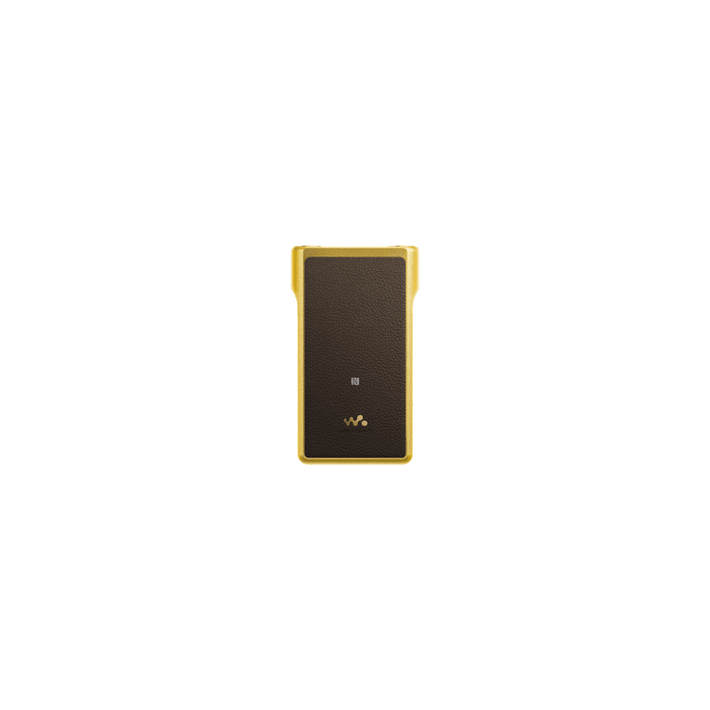 Premium Walkman with High-Resolution Audio, , product-image