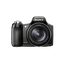 9.1 Mega Pixel H Series 20x Optical Zoom Cyber-shot