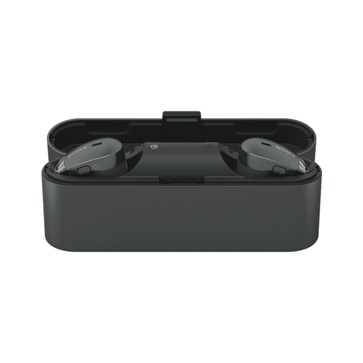 WF-1000X True Wireless Noise Cancelling Headphones (Black), , product-image
