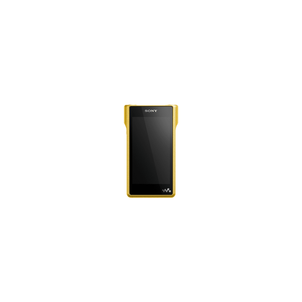 Premium Walkman with High-Resolution Audio, , product-image