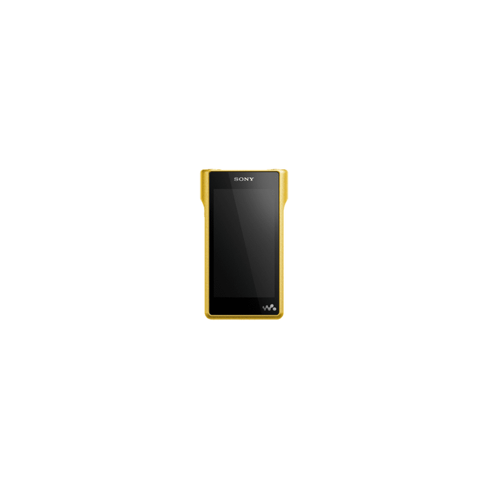 Premium Walkman with High-Resolution Audio, , product-image