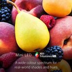 65" X95K / BRAVIA XR / Mini LED / 4K Ultra HD / High Dynamic Range (HDR) / Smart TV (Google TV), , hi-res