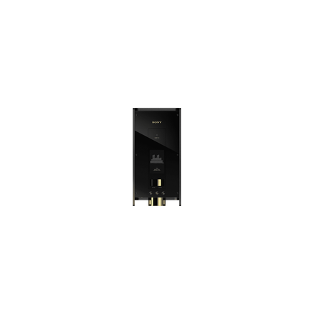 DMP-Z1 Digital Music Player Signature Series, , hi-res