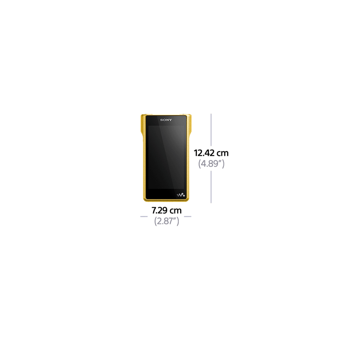 Premium Walkman with High-Resolution Audio, , product-image