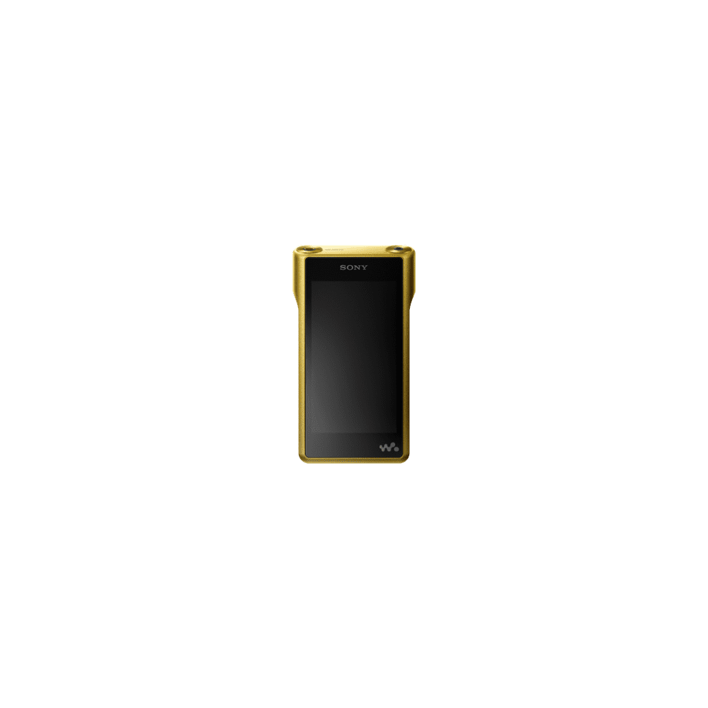 Premium Walkman with High-Resolution Audio, , product-image