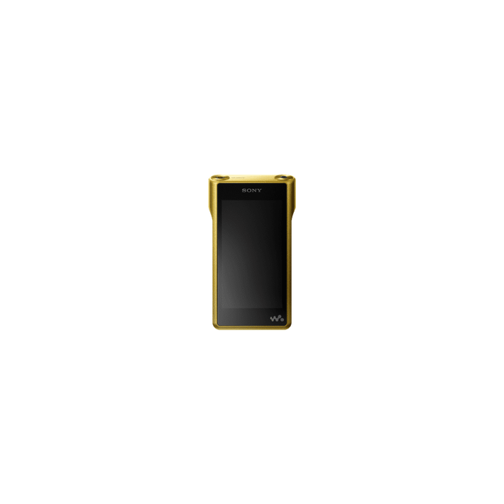 Premium Walkman with High-Resolution Audio, , product-image