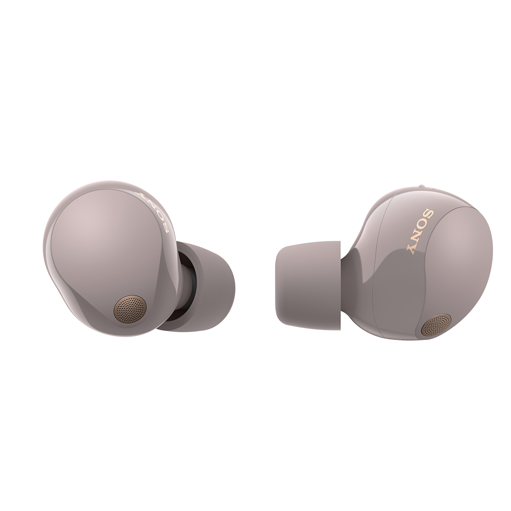 WF1000XM5P