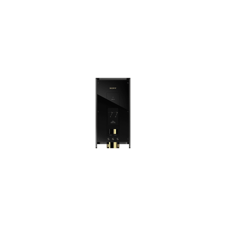 DMP-Z1 Digital Music Player Signature Series, , hi-res