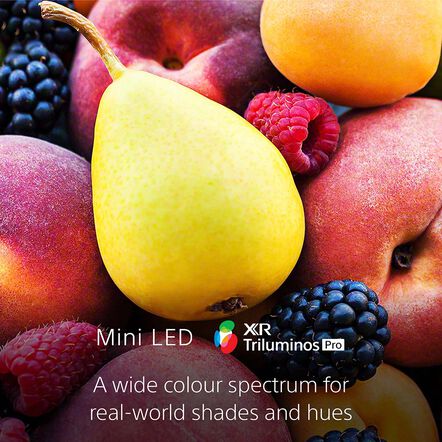 85" X95K / BRAVIA XR / Mini LED / 4K Ultra HD / High Dynamic Range (HDR) / Smart TV (Google TV), , hi-res
