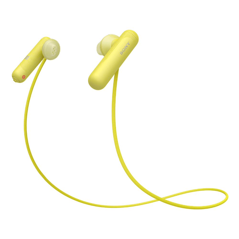 WISP500Y