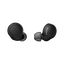 WF-C500 Truly Wireless Headphones (Black)